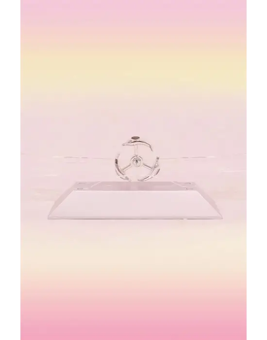 Omarı Manyetik Kinetik Orbital Dönen Yunuslar Masa Üstü Dekor