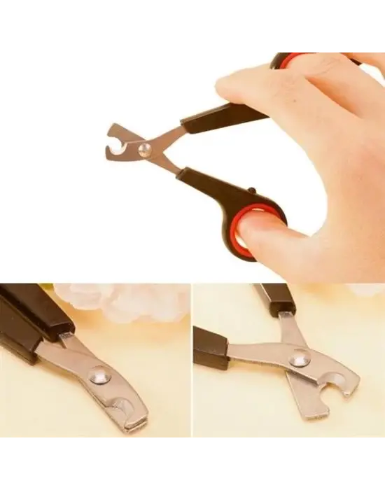 Omarı Evcil Hayvan Tırnak Bakım Seti - Profesyonel Pati Bakımı İçin Kaymaz Saplı