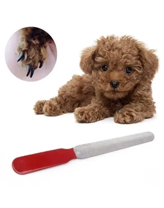 Omarı Evcil Hayvan Tırnak Bakım Seti - Profesyonel Pati Bakımı İçin Kaymaz Saplı