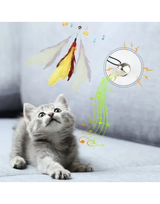 Omarı Çift Taraflı Pet Fırça - Evcil Hayvanlar için Nemli Tüy Tarama