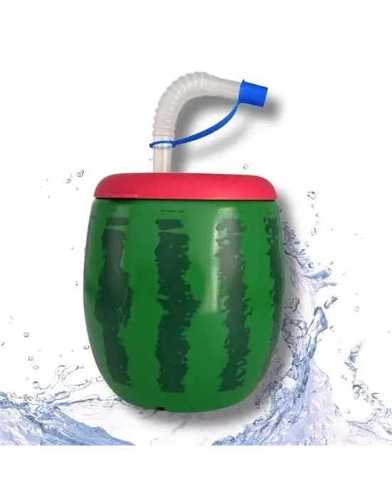 Omarı Karpuz Desenli Kendiliğinden Pipetli 900 ml Suluk