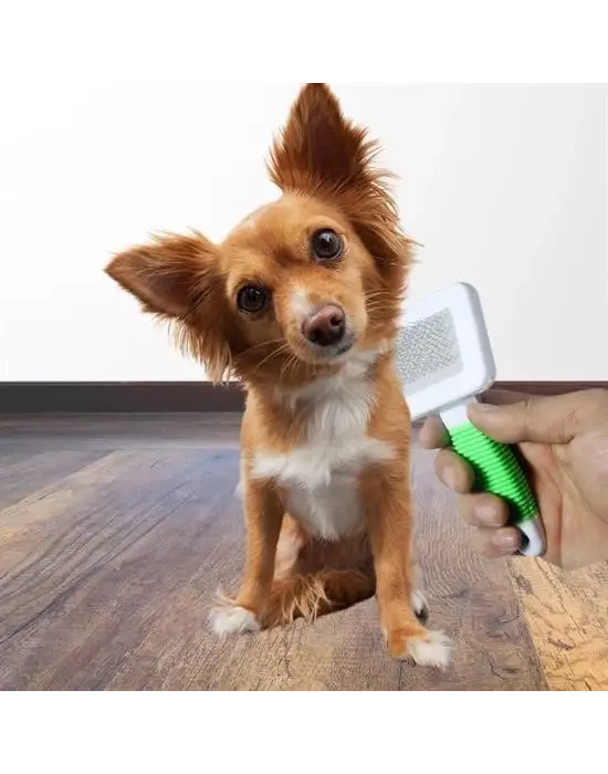 Omarı Evcil Hayvanlar için Telli Küçük Boy Tüy Bakım Seti ve Fırça