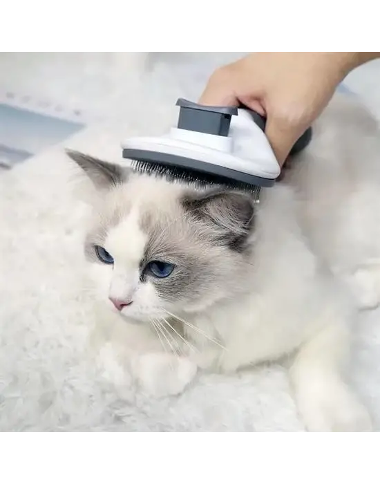 Omarı Kendini Temizleyebilen Ergonomik Rahat Tüy Toplayıcı Tarağı