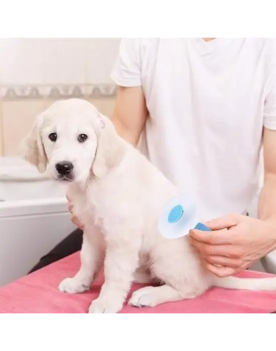 Omarı Ergonomik Saplı Tüy Toplayıcı Evcil Hayvan Tarağı - Mavi