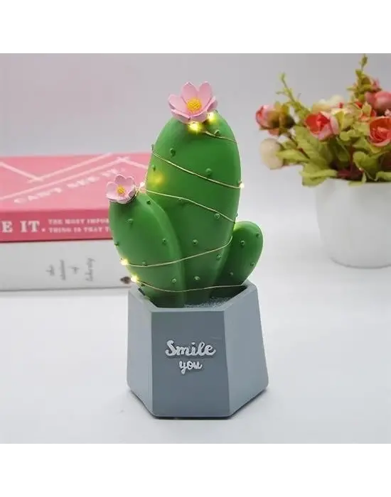 Omarı Şık Led Işıklı Kaktüs Biblo Ev Dekorasyonu ve Hediye Fikri