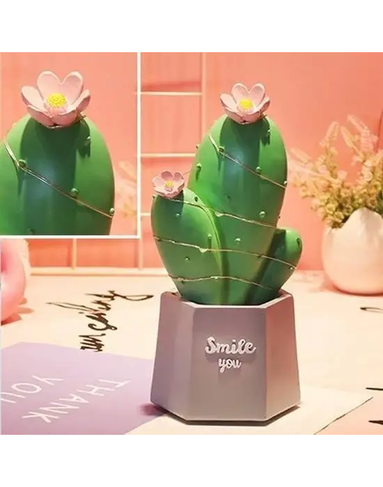 Omarı Şık Led Işıklı Kaktüs Biblo Ev Dekorasyonu ve Hediye Fikri