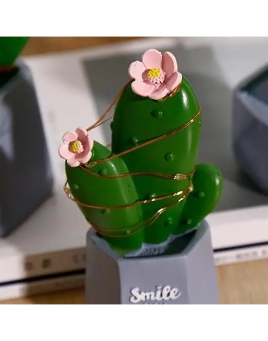 Omarı Şık Led Işıklı Kaktüs Biblo Ev Dekorasyonu ve Hediye Fikri