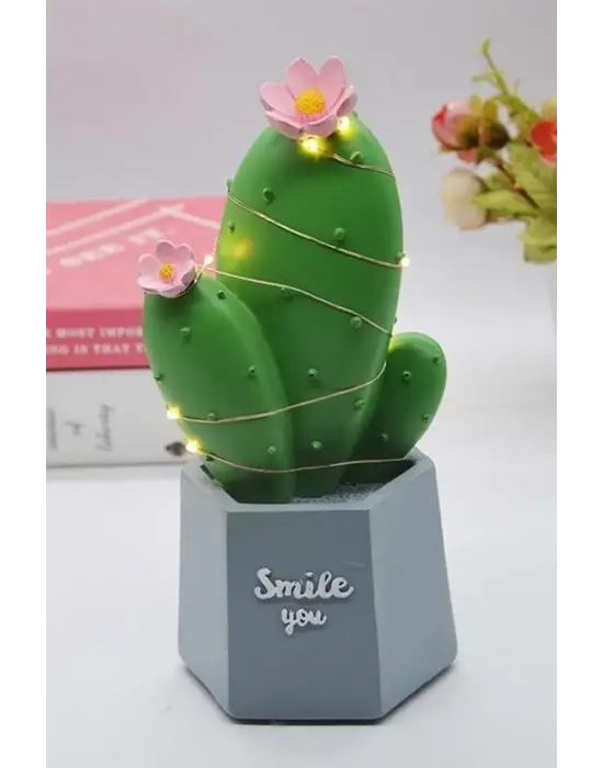 Omarı Şık Led Işıklı Kaktüs Biblo Ev Dekorasyonu ve Hediye Fikri