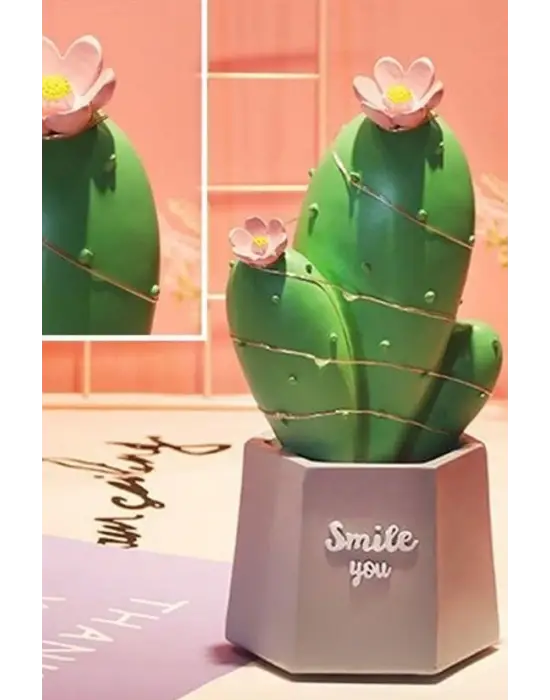Omarı Şık Led Işıklı Kaktüs Biblo Ev Dekorasyonu ve Hediye Fikri