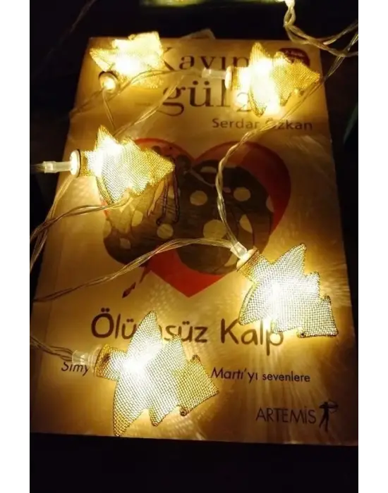 Omarı Metal Örgülü Günışığı Şerit Led Işık Zinciri