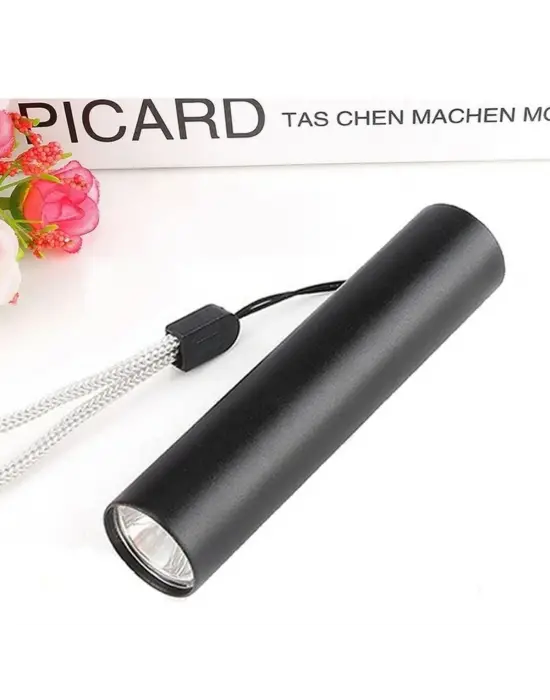 BUFFER® Mini Cep Boy USB İle Şarj Olan Oje Kurutucu Sahte Para Kontol LED UV Mor Işık El Feneri