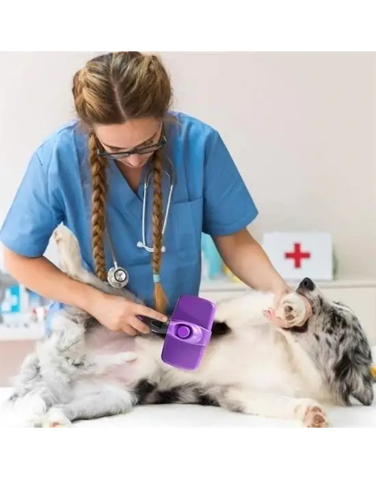 Omarı Otomatik Temizlenebilen Kedi Köpek Tüy Toplama Fırçası