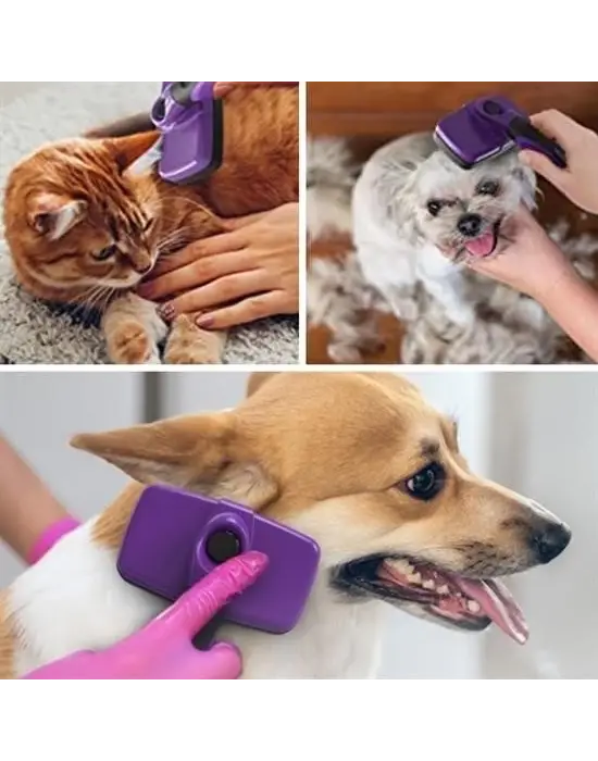 Omarı Otomatik Temizlenebilen Kedi Köpek Tüy Toplama Fırçası