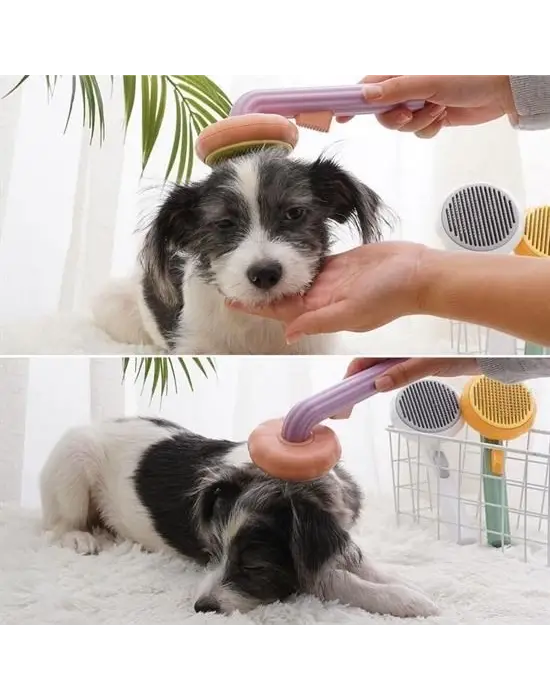 Omarı Çok Amaçlı Yeşil Pet Fırçası - Evcil Hayvan Bakımı için Ideal