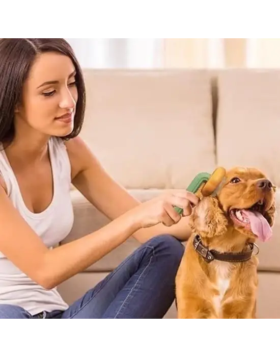 Omarı Çok Amaçlı Yeşil Pet Fırçası - Evcil Hayvan Bakımı için Ideal