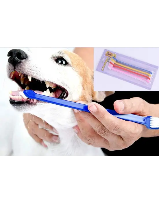 Çıft Taraflı Hayvan Dış Firçası 4 Lü Set