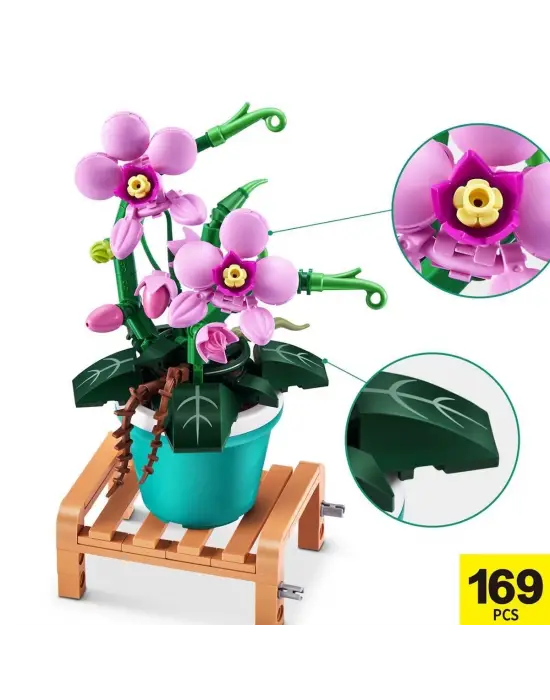 Omarı Parça MAX Saksı Bitkileri Seti