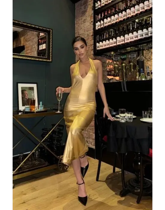 Omarı Zarif Sırt Dekolteli Elbise