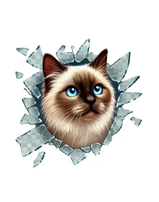 Fulcar Kedi Tasarımlı Araç Stickerı