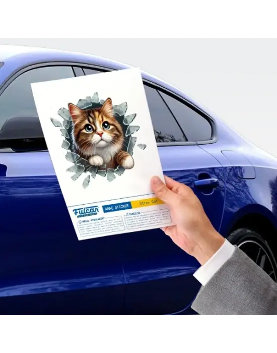Fulcar Kedi Tasarımlı Araç Stickerı