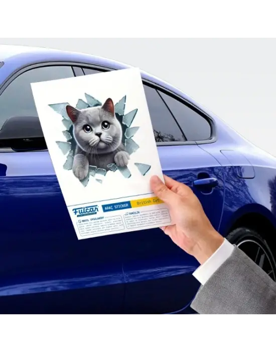 Fulcar Kedi Tasarımlı Araç Stickerı