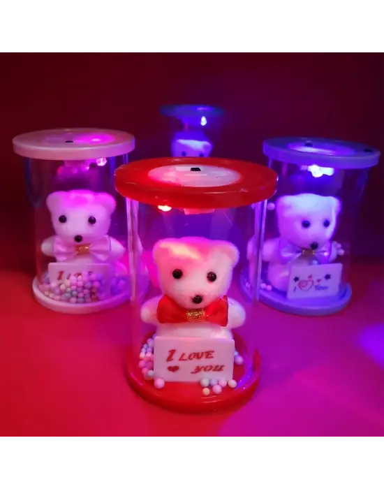 Işıklı Cam Fanus İçinde Ayıcık