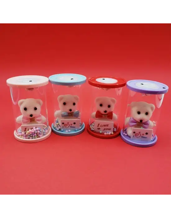 Işıklı Cam Fanus İçinde Ayıcık