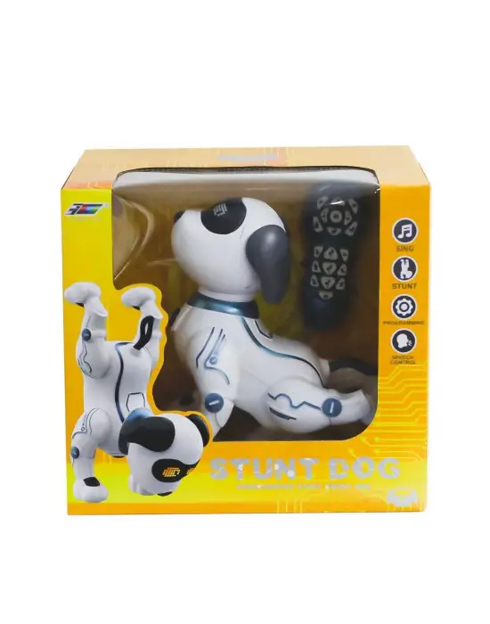 K16 BY UZAK KUM AKROBATİK KÖPEK