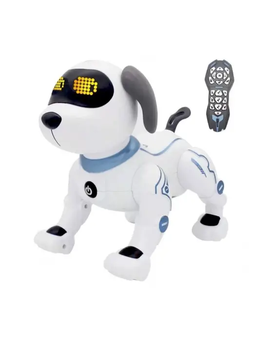 K16 BY UZAK KUM AKROBATİK KÖPEK