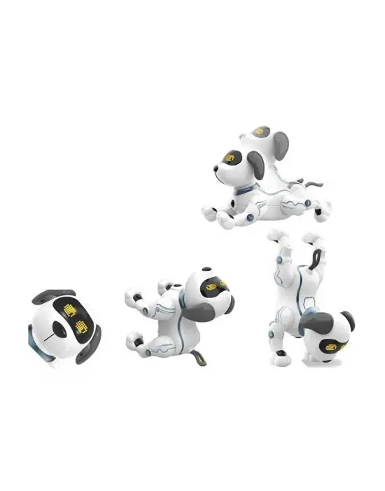 K16 BY UZAK KUM AKROBATİK KÖPEK