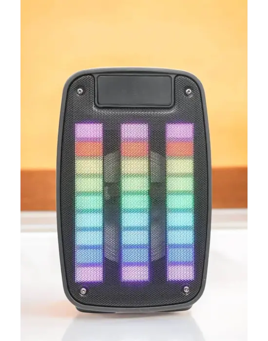 Kablosuz Bluetooth Hoparlör Taşınabilir 6.5 İnç Led Işık Kareoke