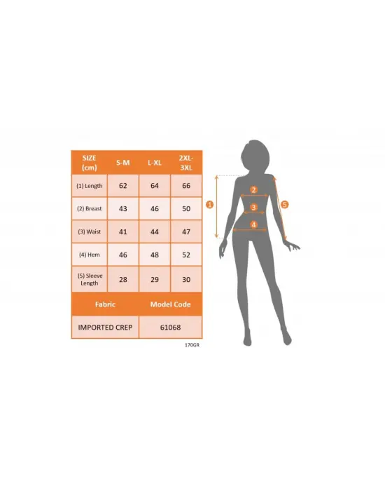 Kadın Kısa Kollu Bisiklet Yaka Kolları Gipeli Ithal Krep Bluz