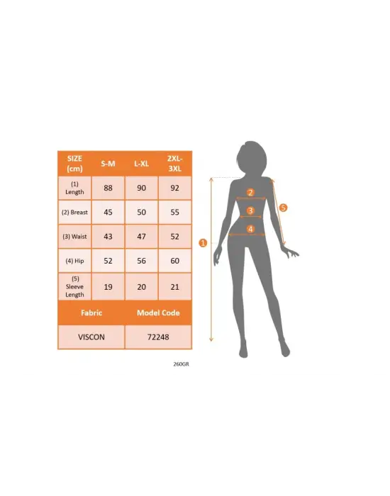 Kadın Kısa Kollu V Yakalı Etnik Desen şerit Detaylı Viskon Elbise