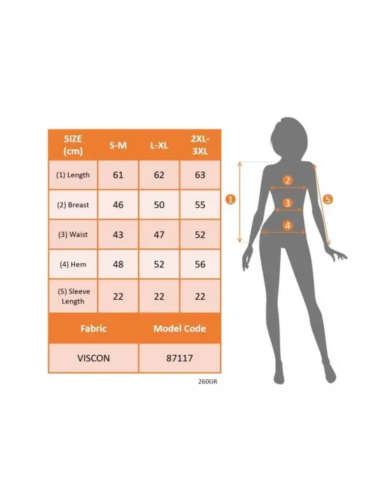 Kadın Kısa Kollu V Yakalı Viskon Bluz