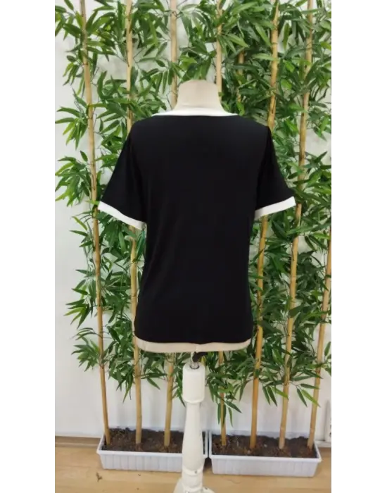 Omarı Sade Şıklıkta Kadın V Yakalı Bluz