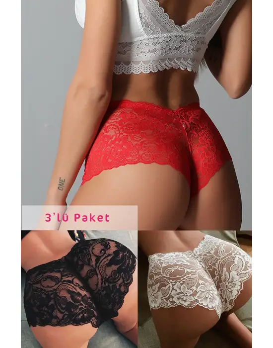 Omarı Eşsiz Renkli Dantel Tanga Seti