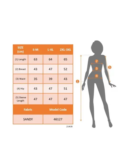 Kadın Truvakar Kollu Kruvaze Yakalı Simli Sandy Bluz