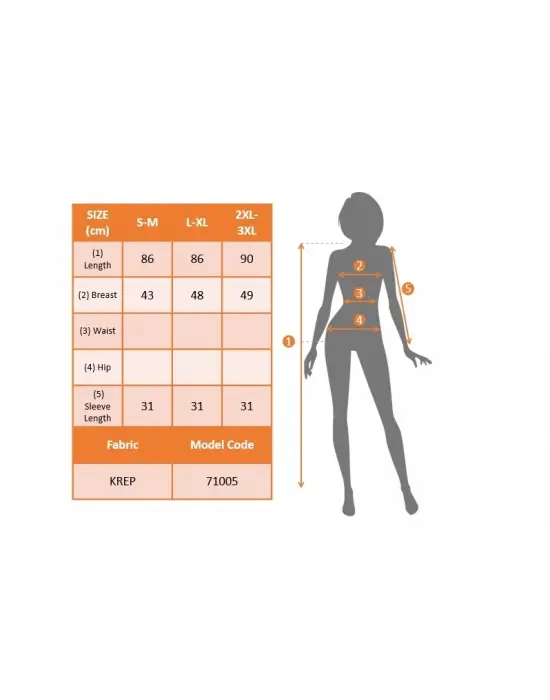 Omarı Elegan Kadın V Yaka Tüllü Elbise