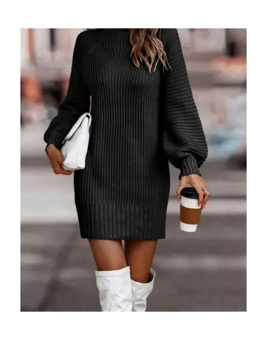 Kadın Uzun Kollu Balıkçı Yaka Mini Triko Elbise