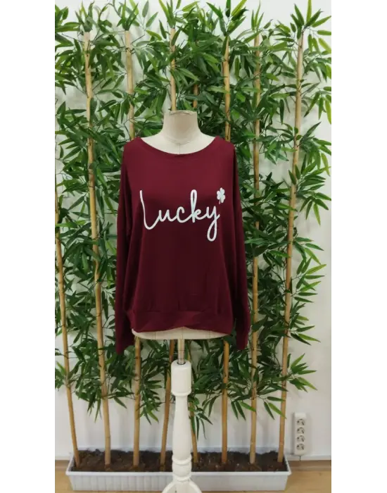 Kadın Uzun Kollu Bisiklet Yaka Viskon Iki Iplik Bluz