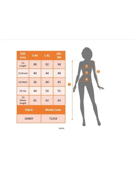 Kadın Uzun Kollu Degaje Yaka Leopar Detaylı Cepli Kısa Sandy Elbise