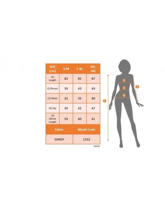 Kadın Uzun Kollu Kruvaze Yaka Sandy Mini Elbise