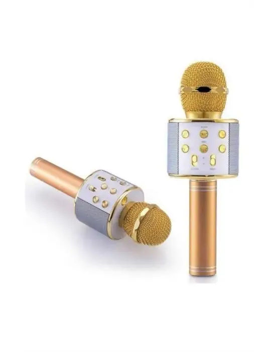 Karaoke Mikrofon Dahili Hoparlörlü Sd-usb-aux Girişli Bluetooth Hoparlör