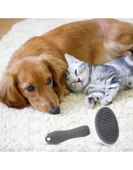 Kedi Köpek Tüy Toplayıcı  Pet Tarak 20 Cm