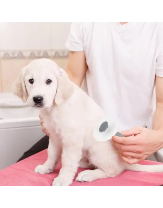 Kedi Köpek Tüy Toplayıcı  Pet Tarak 20 Cm