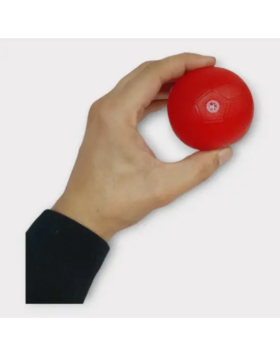 Omarı Eğlenceli Köpek Oyuncağı - Kırmızı Top