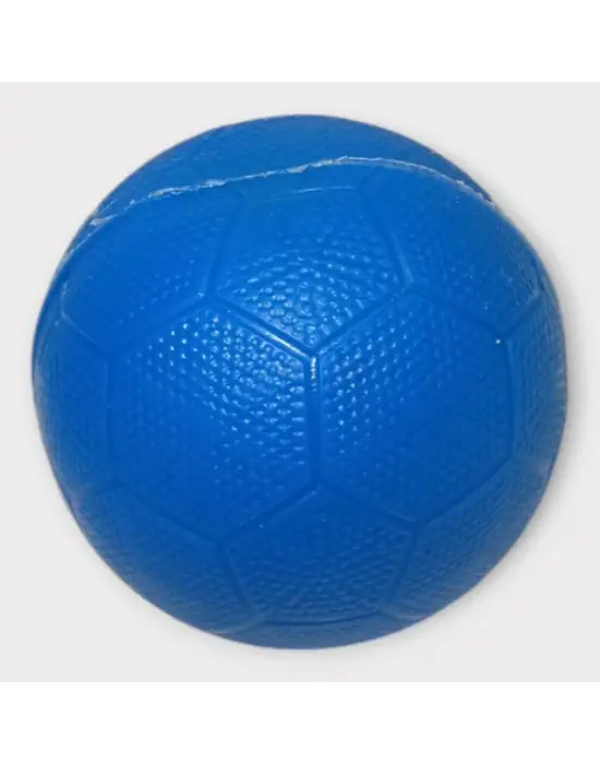 Omarı Mavi Plastik Köpek Düdüklü Top