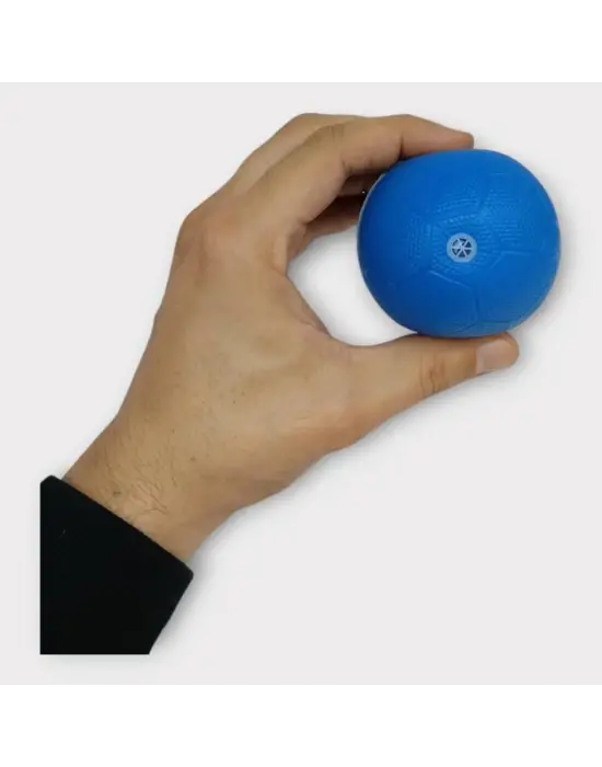 Omarı Mavi Plastik Köpek Düdüklü Top