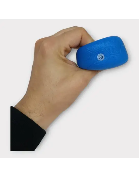 Omarı Mavi Plastik Köpek Düdüklü Top