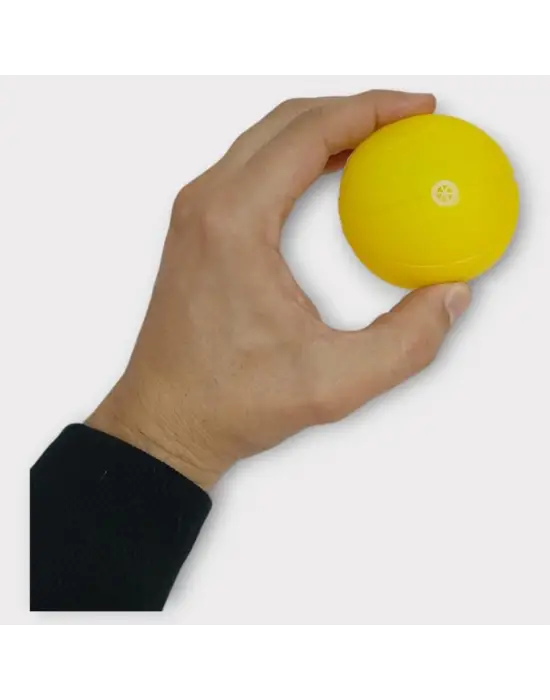 Omarı Eğlenceli Köpek Oyuncağı - Sarı Düdüklü Top